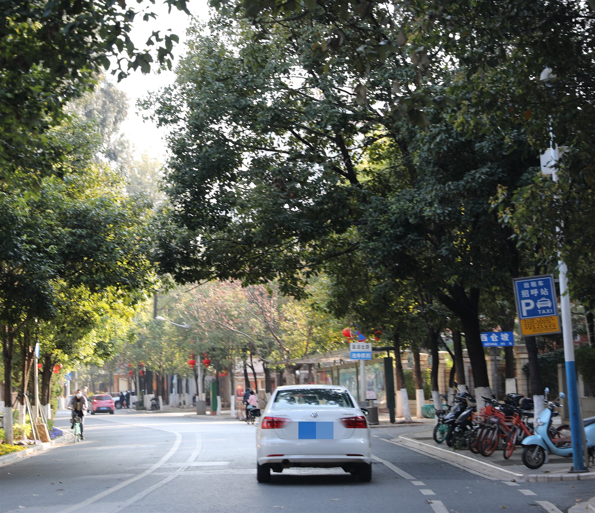 记者体验零购物港澳游,亲身体验租车一天费用明细表