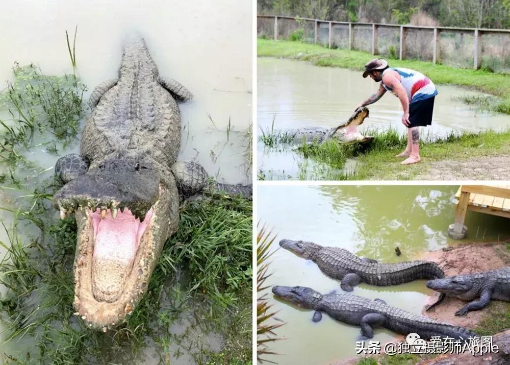 请收下这份美好生活攻略,请收下这份旅游攻略