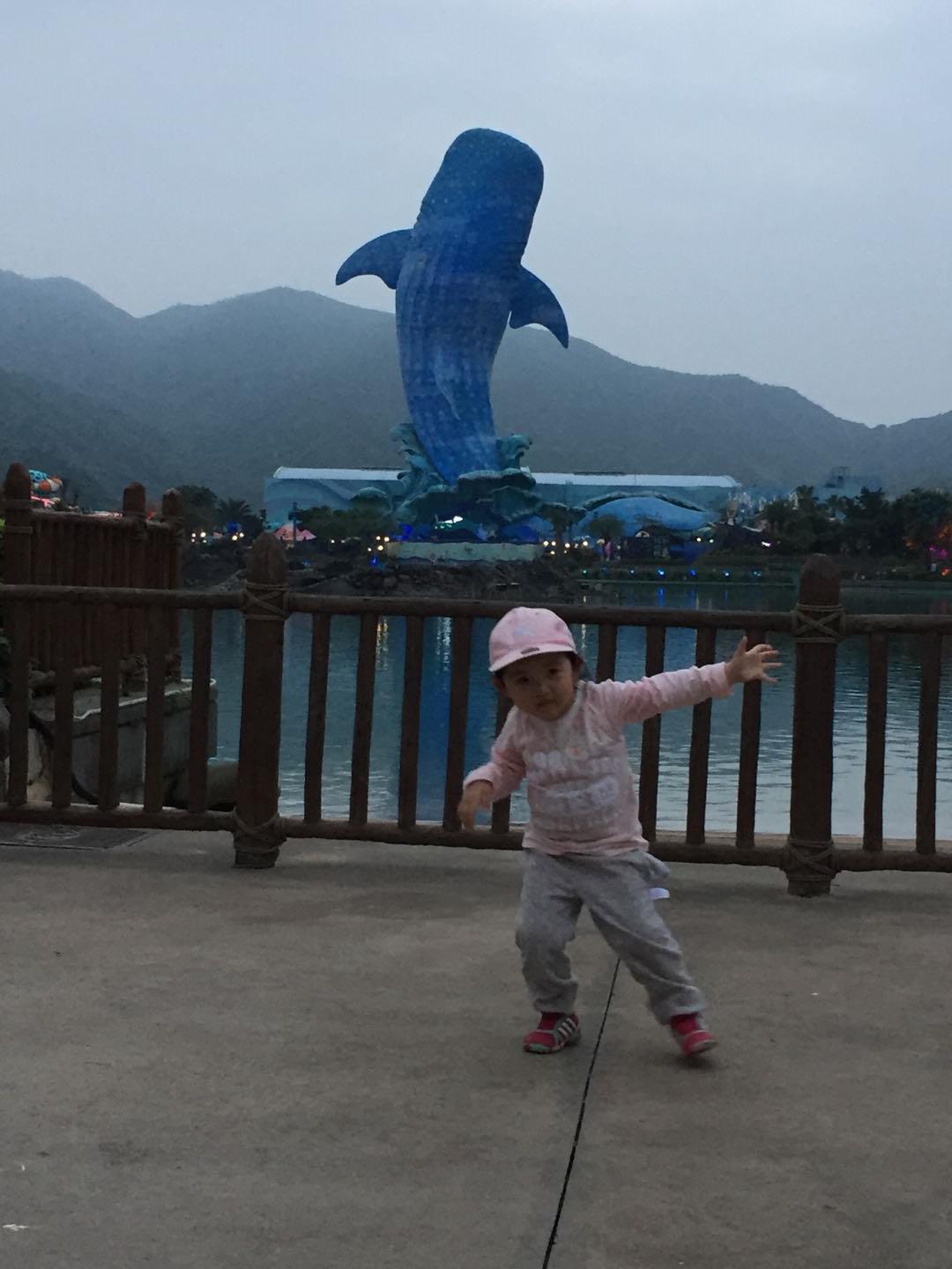 珠海长隆海洋王国附近美食,珠海长隆海洋王国官网预约