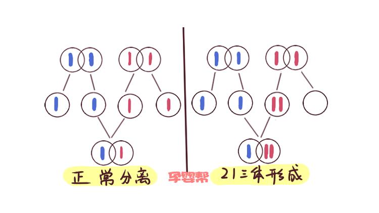 奶奶逢人夸孙子是断掌，长大有福气，儿科医生的一番话让家人紧张