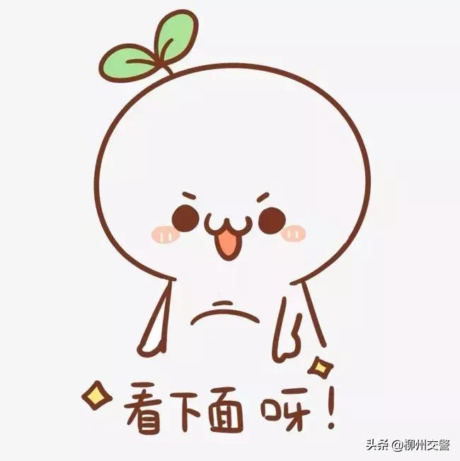 车辆申请报废需要什么手续,车辆报废分解视频