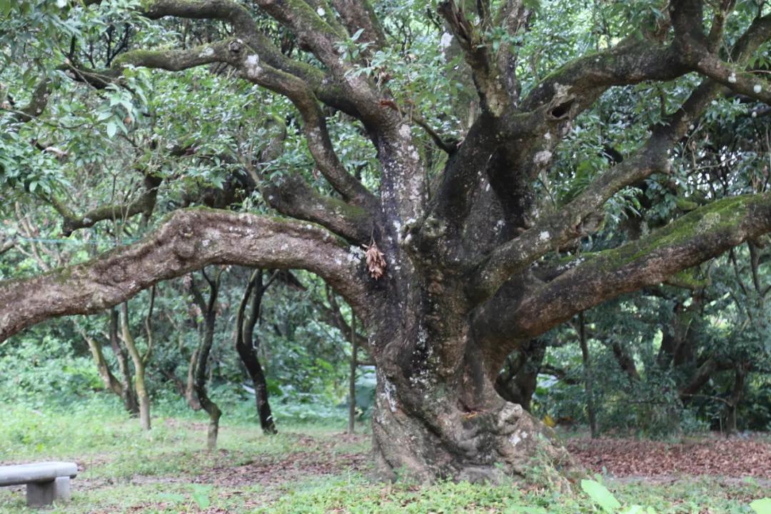 检察蓝用心守护海洋蓝,检察蓝守护最美夕阳红