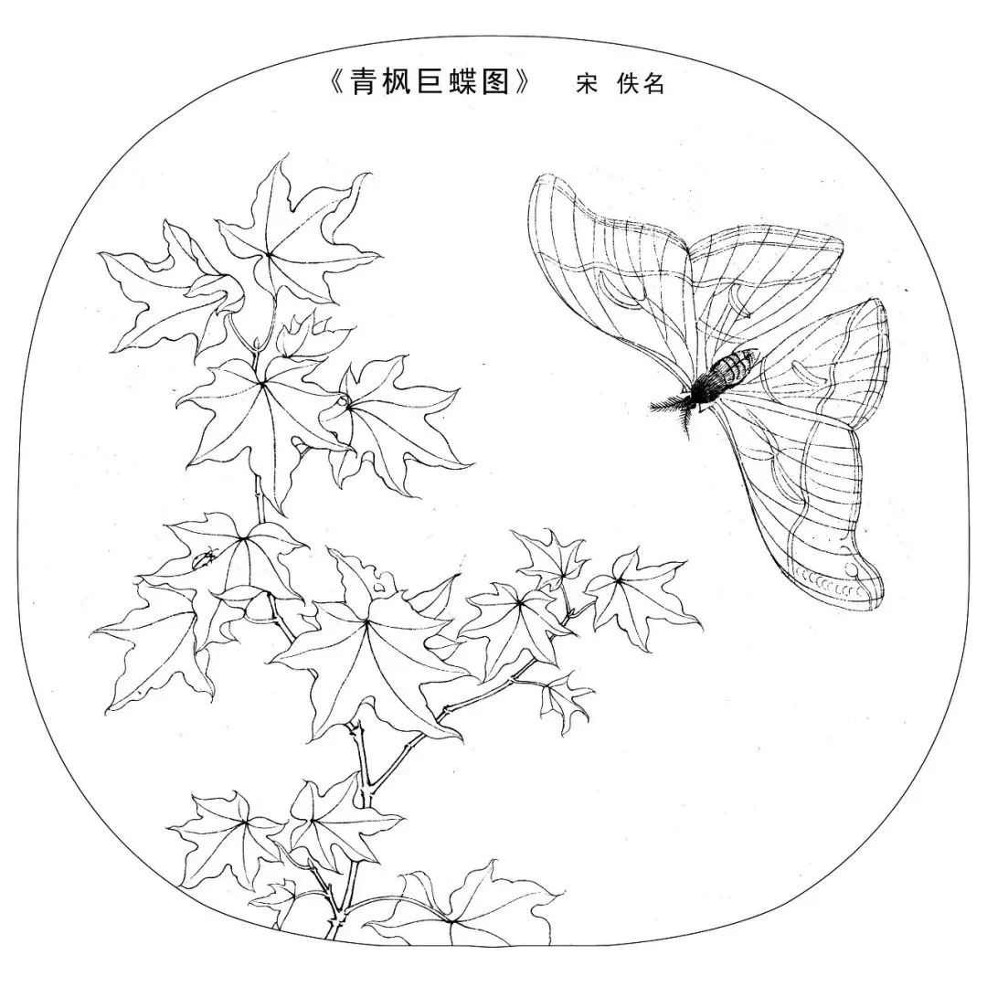 宋人工笔白描,宋人小品花鸟工笔白描高清图