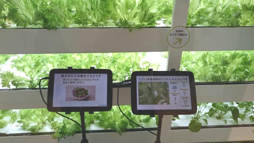 文具爱好者天堂，收纳狂魔聚集地，日本人打造的12层文具圣地