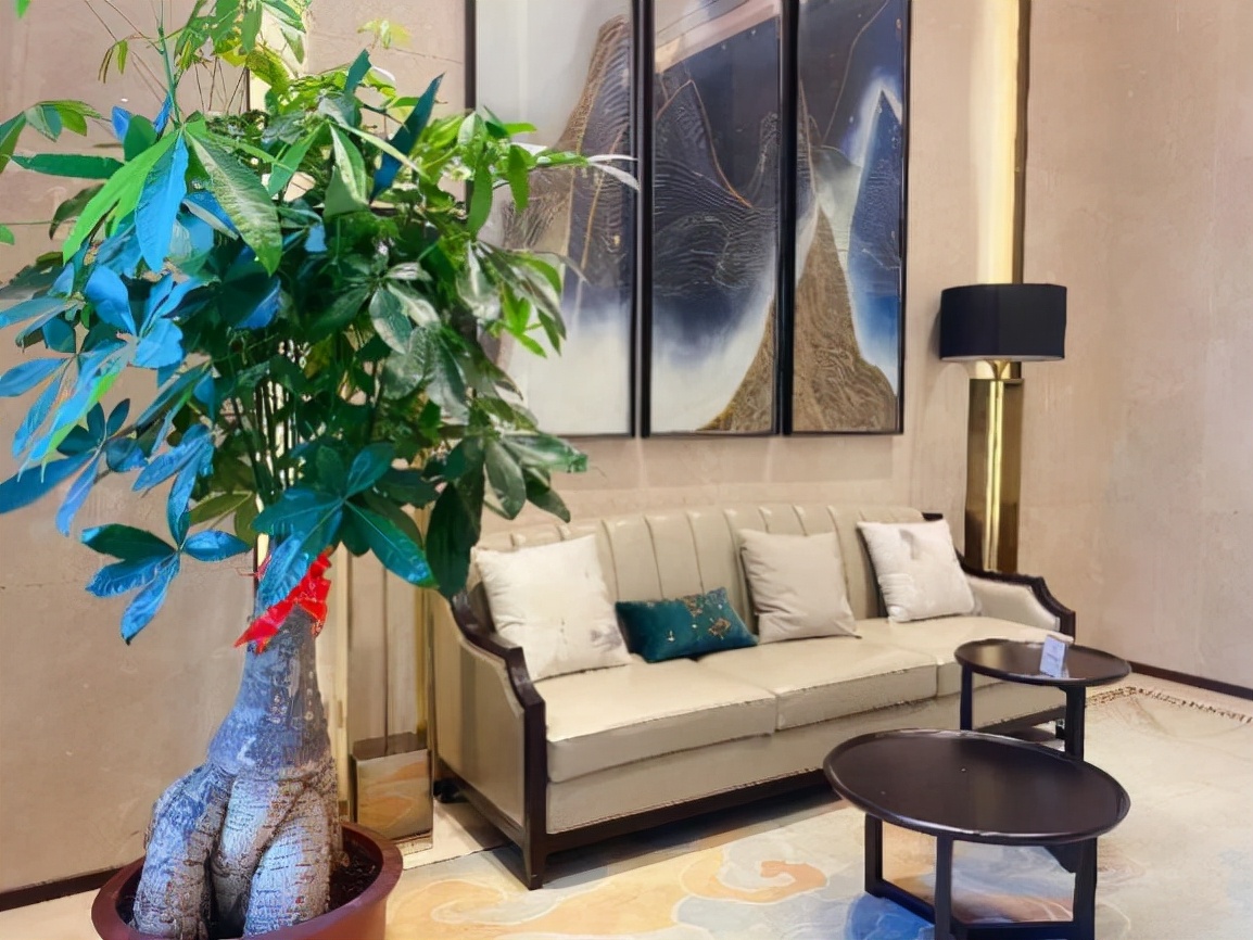 龙光服务物业公司,龙光服务南宁分公司