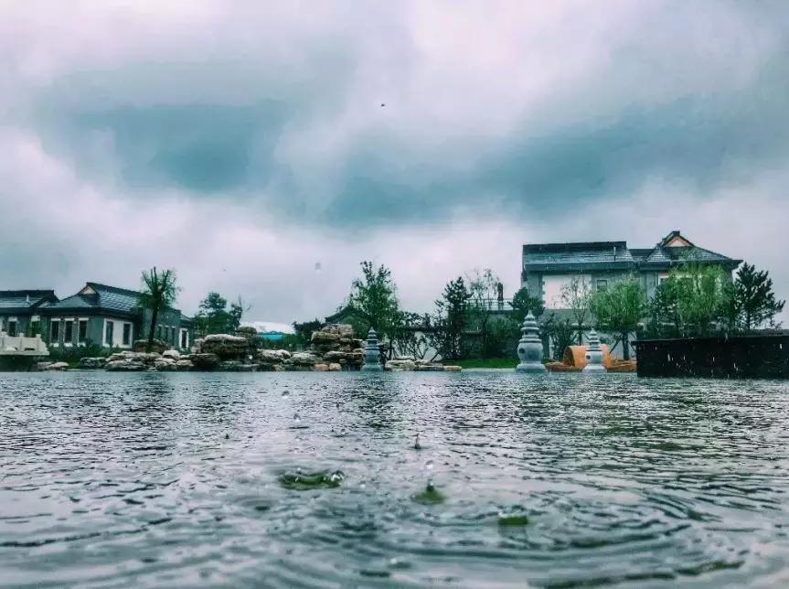 涞源酸浆豆腐的做法视频,野菜豆腐干凉拌