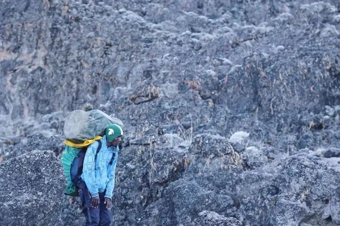 坦桑尼亚之旅,坦桑尼亚东非草原