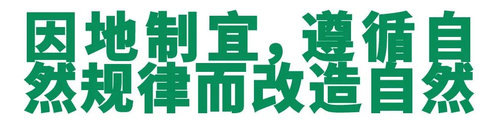 农造田野丨总有一根神经通往乡野|月亮山百里梯田