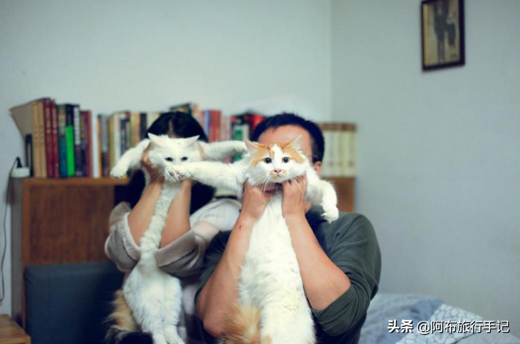 比撒钱刺激，种草日本杂货的最高境界，是把自己变成卖货郎！