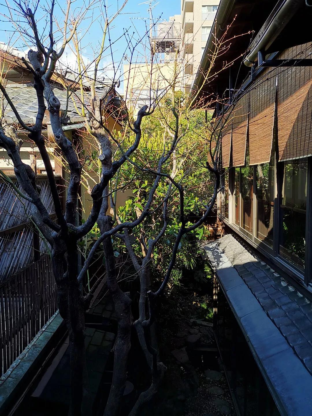 「慢达世界」第216期:短暂停留的京都生活,柊家的待客之道