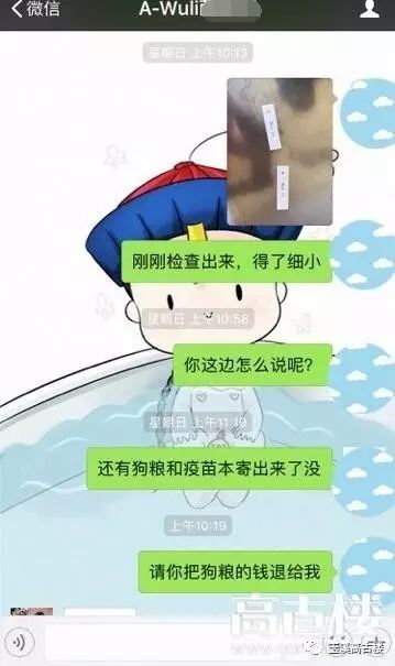 怎么防止网上买狗上当受骗,网上买狗被骗的概率大吗