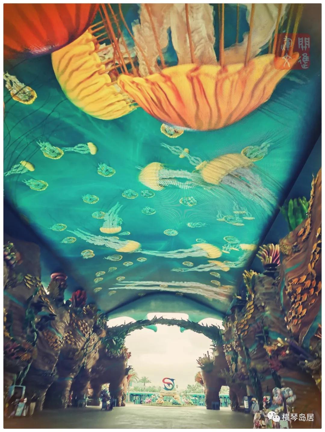 横琴游,横琴一日游最佳攻略大全