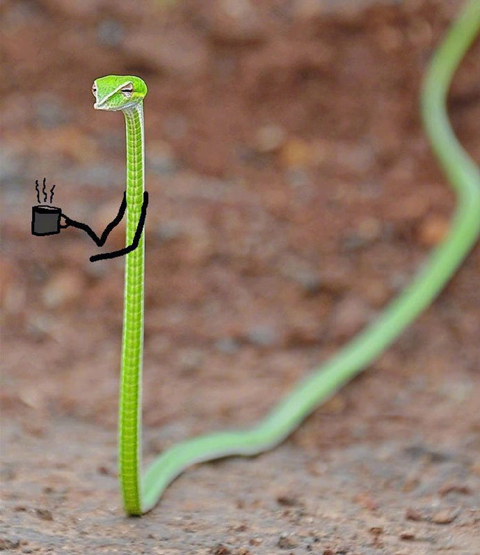 给蛇画背景,给蛇画成了神龙