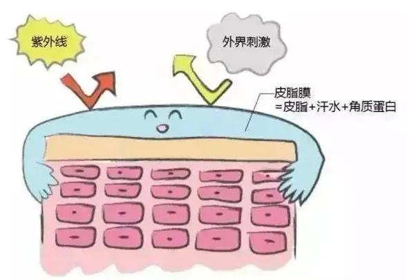 冬季皮肤瘙痒一抓就起疙瘩,老人冬季皮肤瘙痒怎么解决