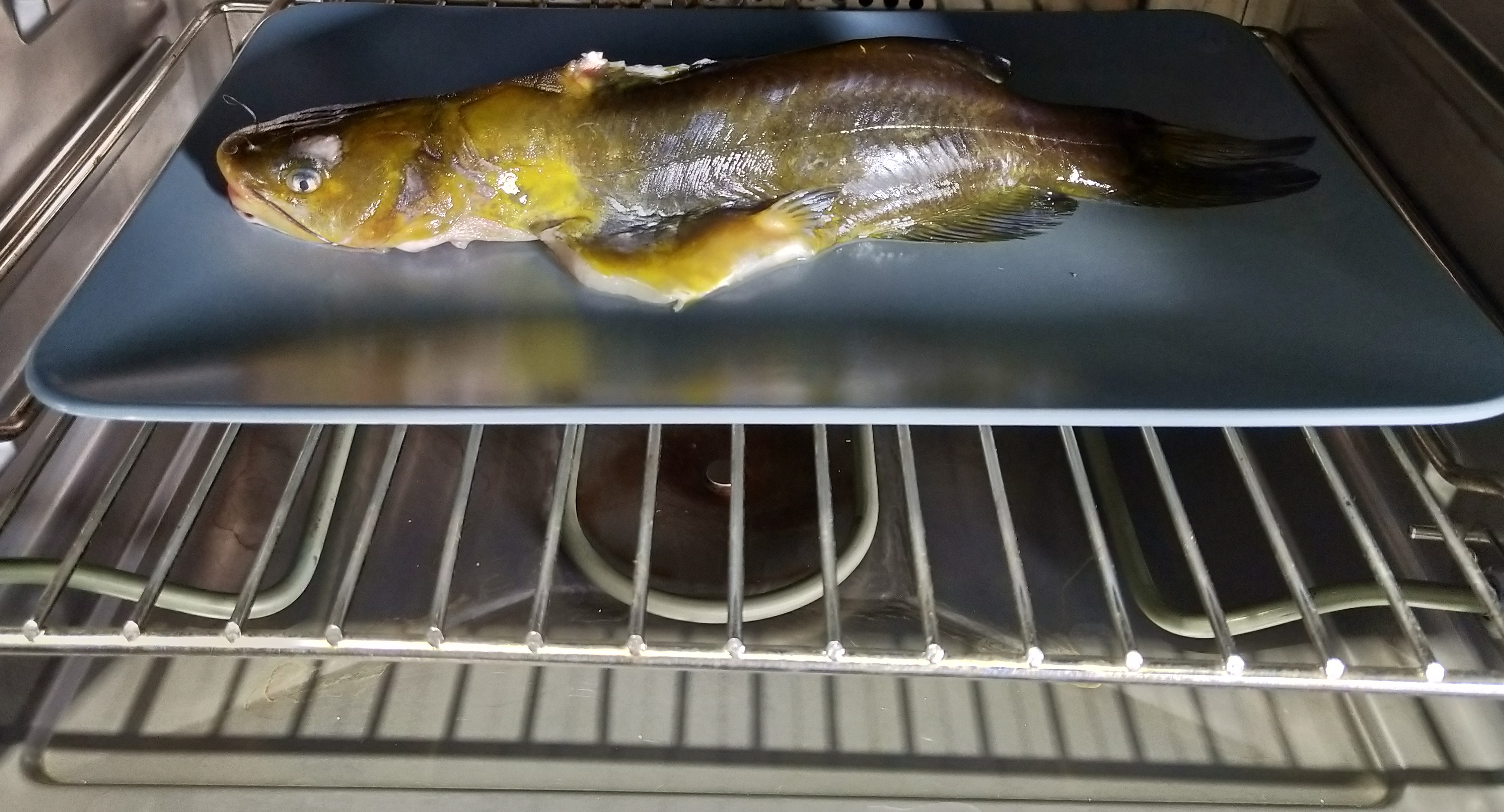 蒸烤箱使用避坑,用了两年蒸烤箱发现神功能