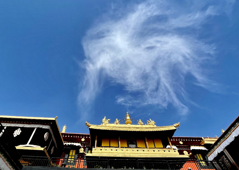 游1300年历史大昭寺，遇17岁无证导游，她说已做了四年讲解