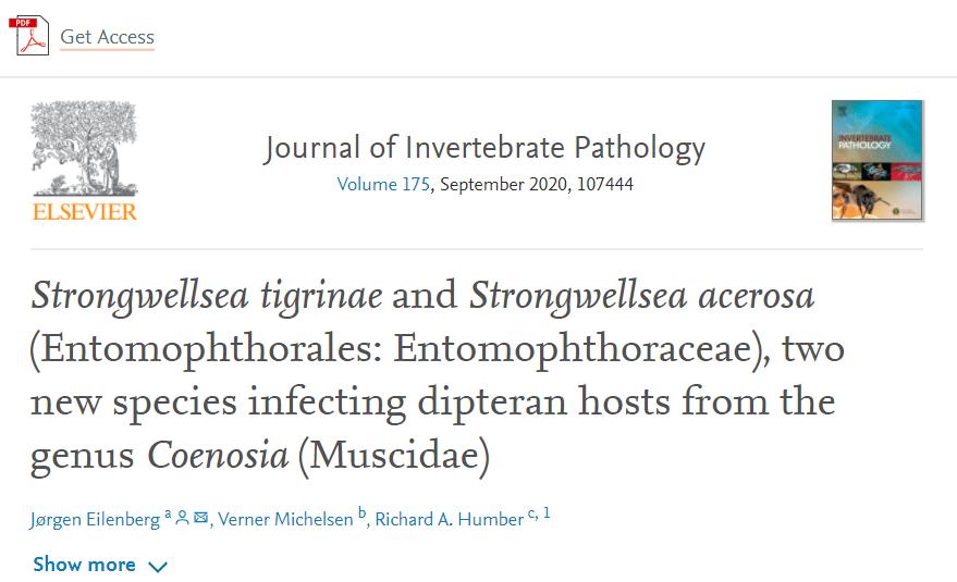 科学家变异苍蝇,可以让昆虫变成僵尸的真菌
