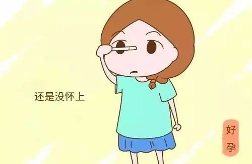 多囊容易怀双胞胎,多囊怀孕有多大几率是双胞胎