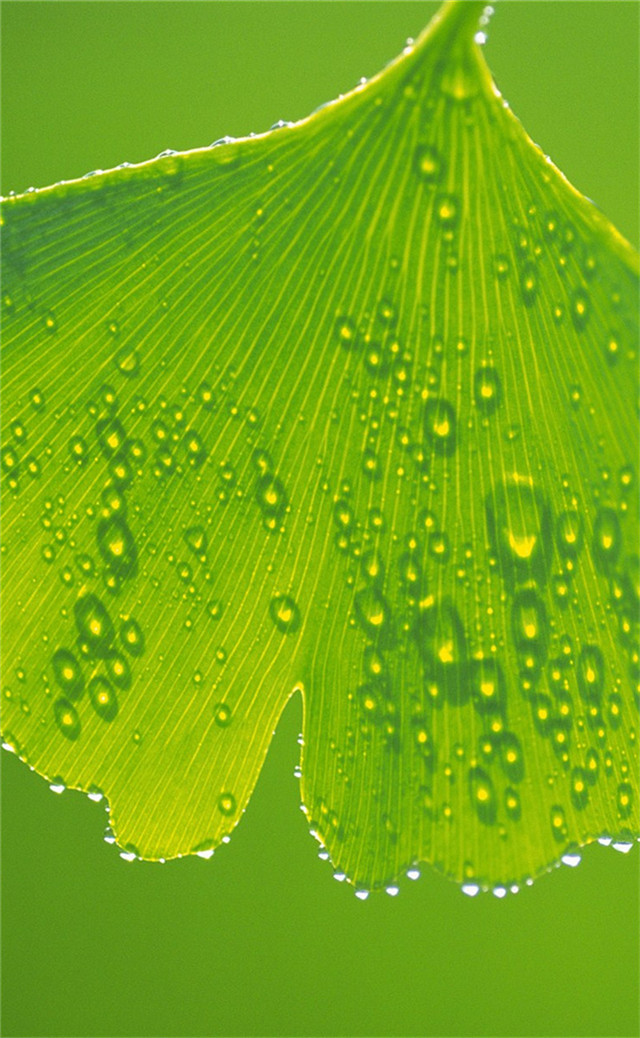 缓解眼睛疲劳壁纸颜色,缓解眼睛疲劳的壁纸高清