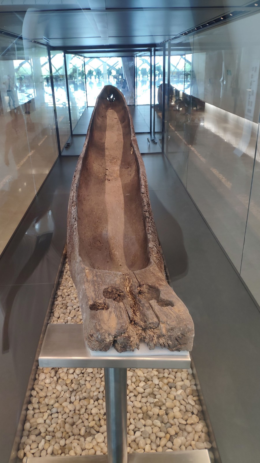 海洋博物馆带孩子游玩攻略,国家海洋博物馆最全攻略来了