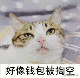 转发文章给父母,转发到家族群的文章