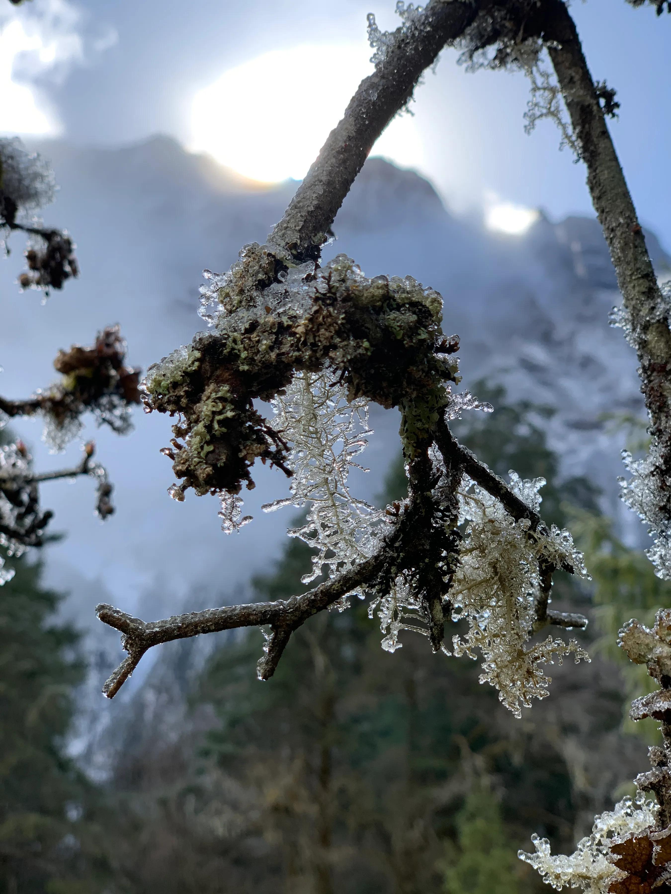 海螺沟燕子沟旅游攻略,海螺沟和燕子沟哪个更值得去
