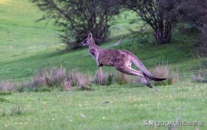7个成长故事,关于质量小故事及感悟