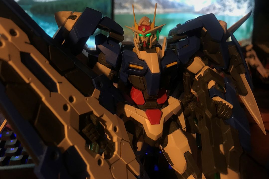 玩家加灯之路,玩家的成长道路