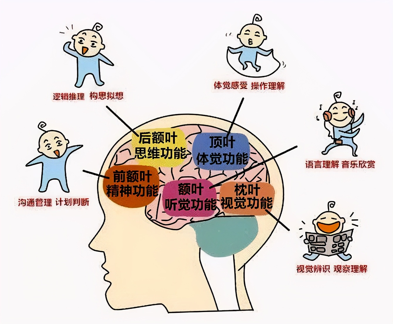 婴儿奶粉含天然乳脂有哪款 (三段含乳脂球膜的奶粉)