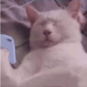 乖乖，都一把年纪了，该学会洗*裤内**了