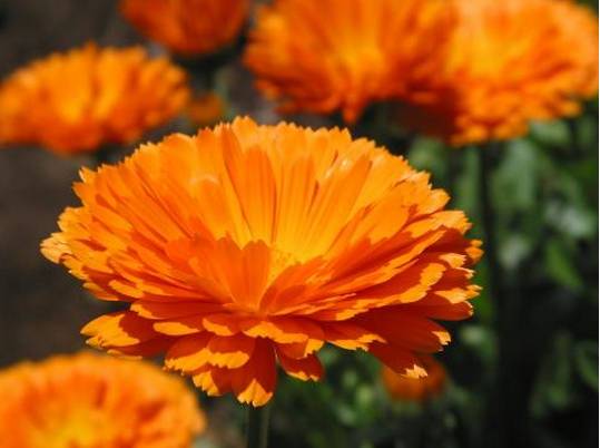 祛斑除皱美白肌肤,面部祛斑美白淡斑小妙招