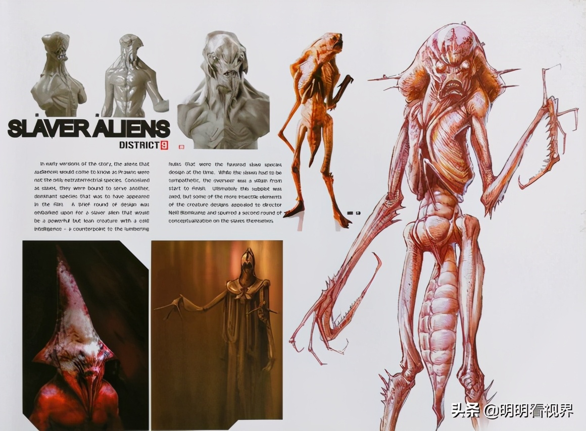 有生之年电影——《第九区》背后的故事，大虾的前世今生（一）