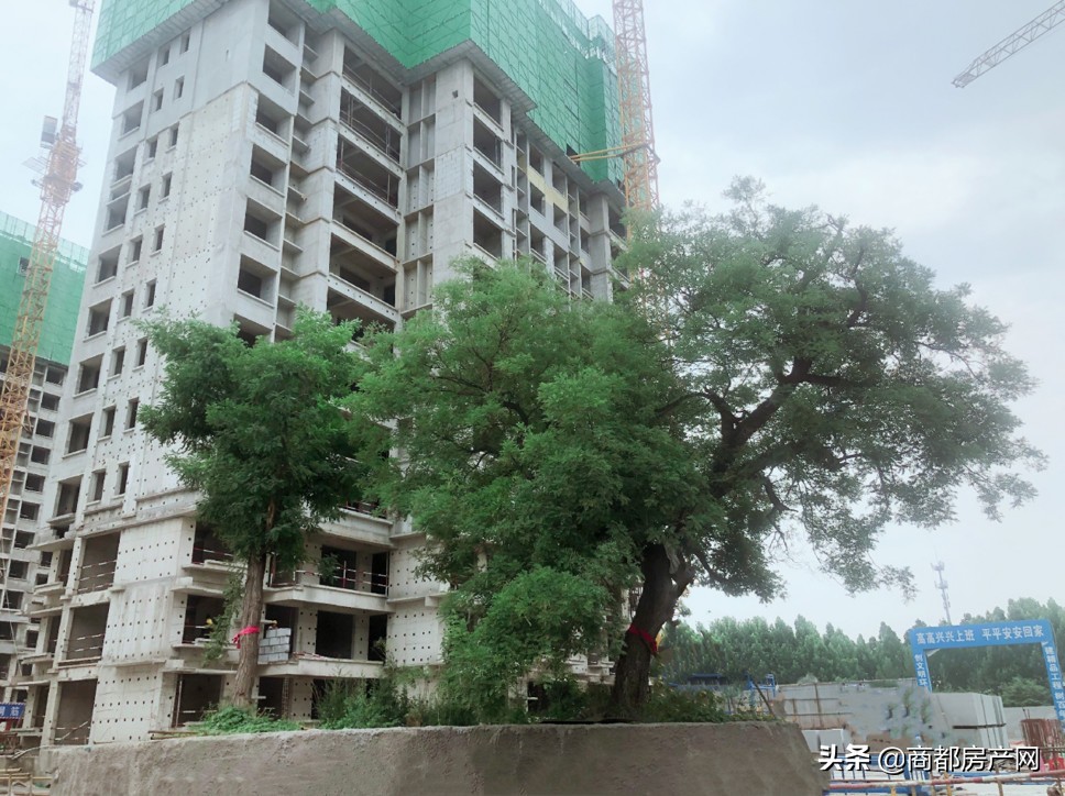 三年后郑州滨河国际新城房价如何,郑州市滨河国际新城有发展前途吗