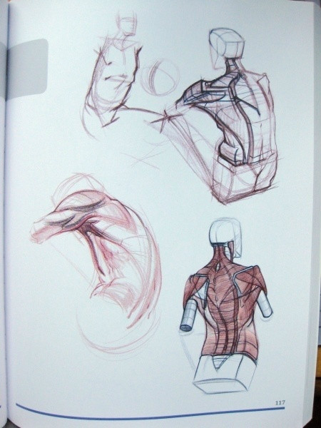 透视表现空间的基本方法,透视解剖学原理书籍