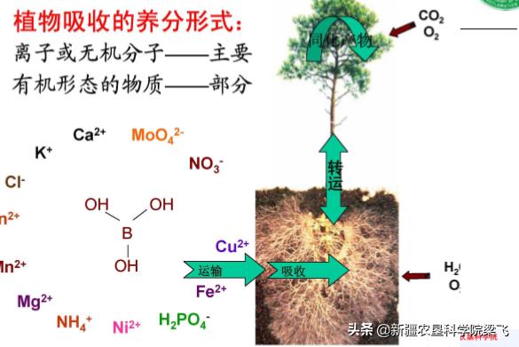 农资行业怎么做才有优势,做农资都需要什么手续