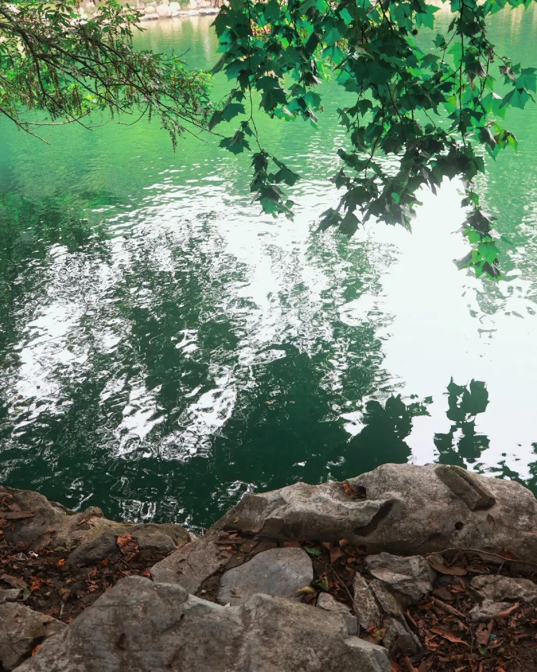 观银河,看银河听风吟的视频