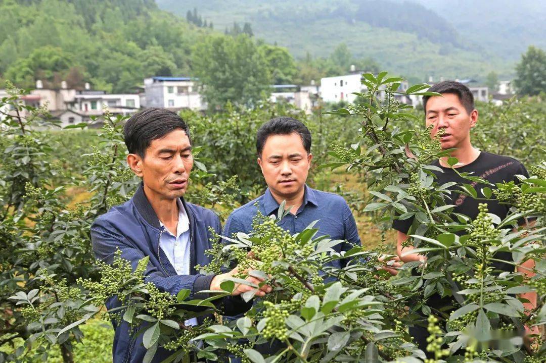 大叔收集废品变废为宝,重庆大叔创业