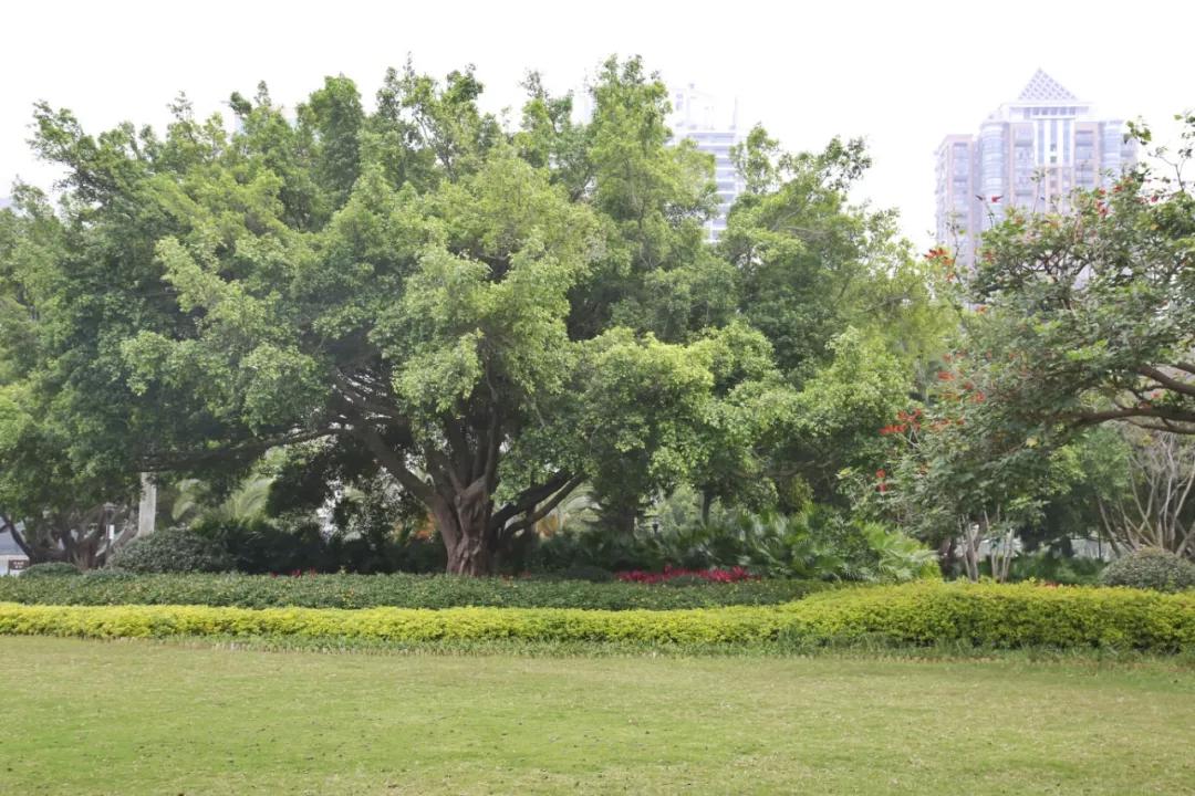 厦门什么地方吹海风吃着美食,厦门必吃海鲜吹海风
