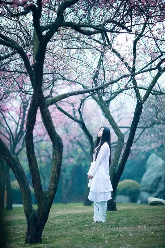 梦里花落知多少24集,梦里花落知多少