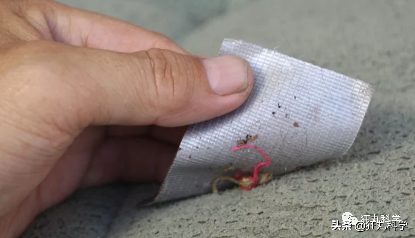 原来胶带也可以当粘粘球来玩,原来胶带还能这样用