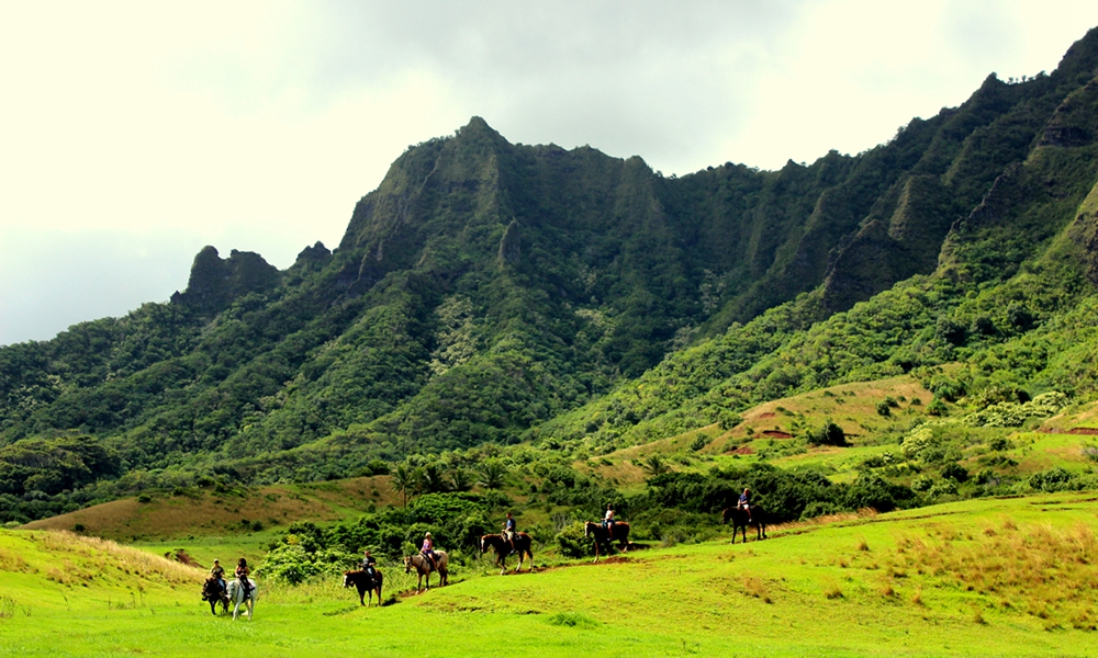 寻找侏罗纪世界中的火山岛，和“驯龙高手”一起拯救史前小短手！