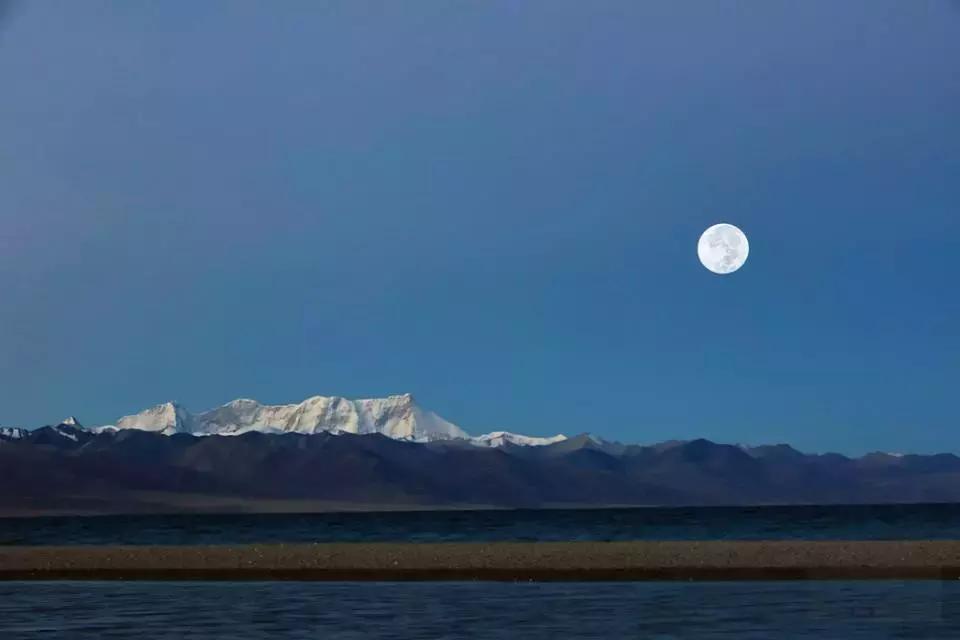 冷知识鲜为人知,冷知识大全恐怖未解之谜