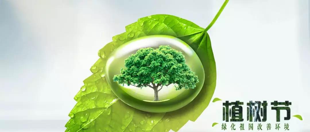 双星企业文化,双星集团建设