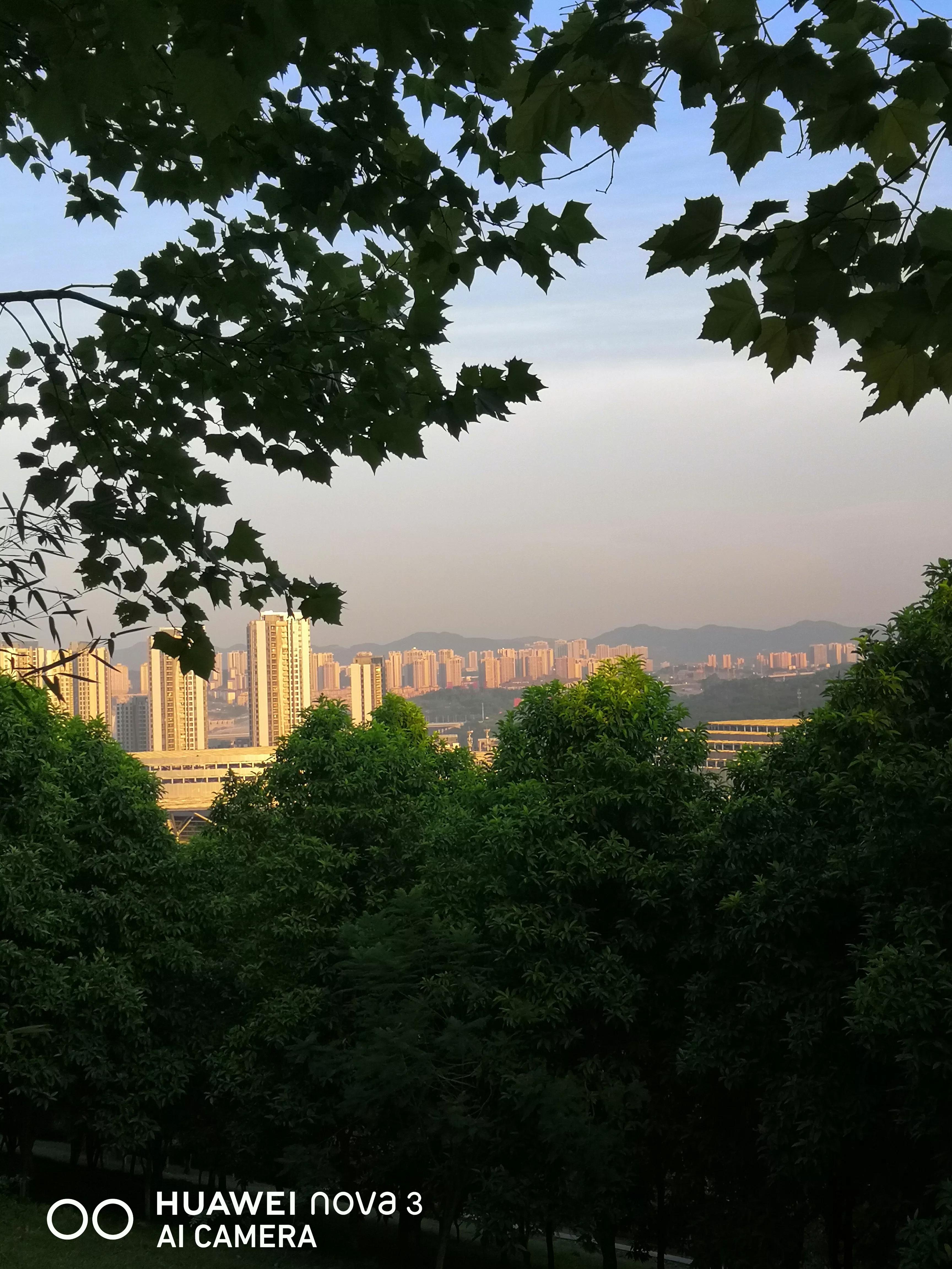 这几天又热起来了、这里是宜居的悦来