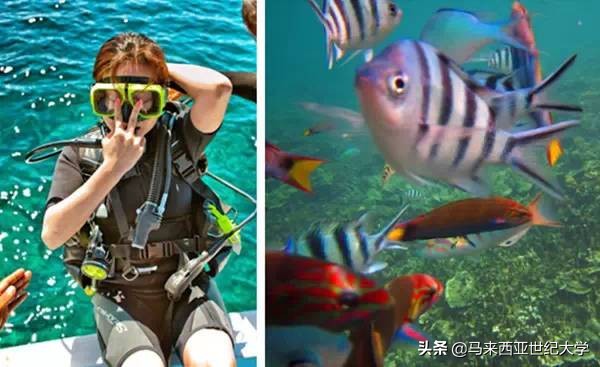 马来西亚最受欢迎度假区,马来西亚旅游最好玩的岛