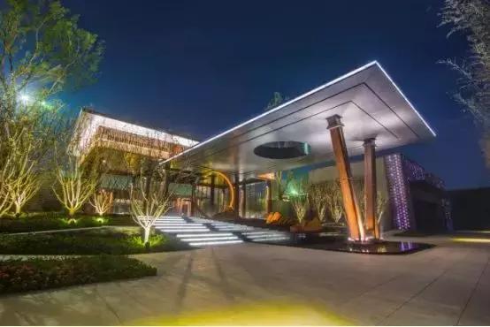 盘点郑州这些C位出道的热盘