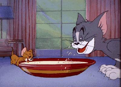 猫喝纯牛奶有危害吗,猫喝牛奶有危害吗