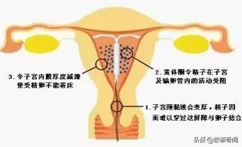 情人节安全措施,情人节安全措施文案
