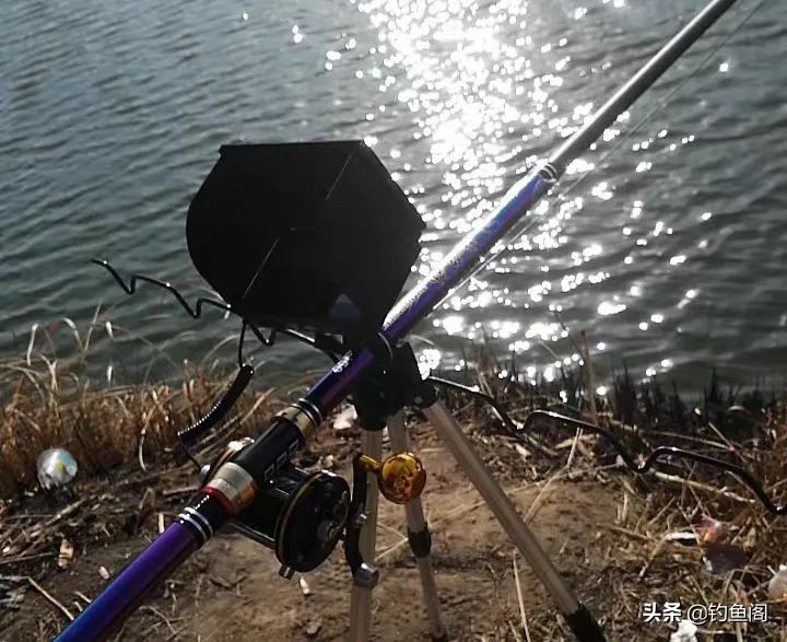 钓鱼圈也存在鄙视链？野钓黑坑吵得最凶，路亚在角落瑟瑟发抖