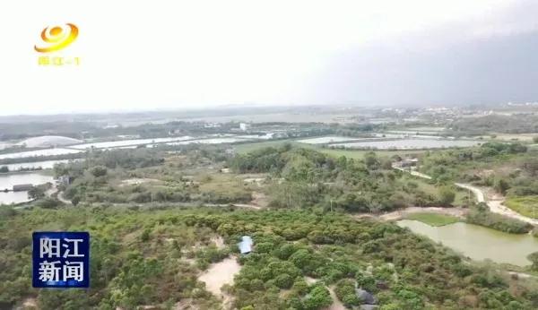 海陵岛碧桂园北洛明珠值得投资吗,海陵岛碧桂园北洛明珠多少钱一平